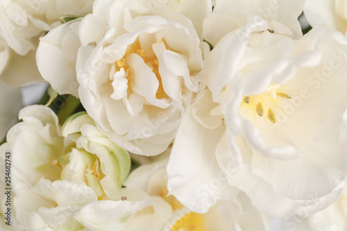 Fototapeta Naklejka Na Ścianę i Meble -  white flower as background