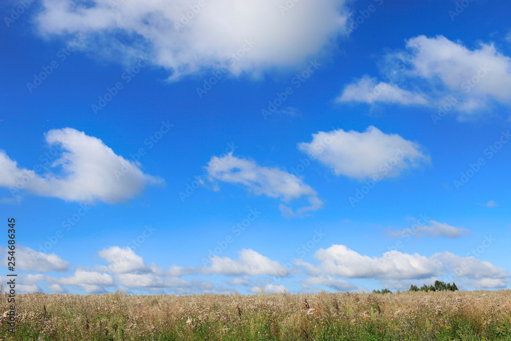 White clouds in the blue sky over the meadow on a sunny summer day