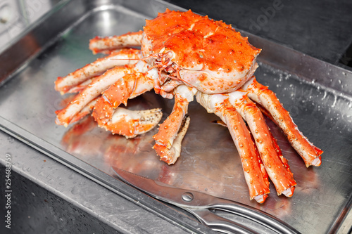 Carving fresh red big boiled prepared blue kamchatka crab with scissors. Concept useful seafood in menu, chef premium restaurant preparing crab for serving for guests, clients