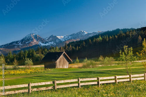 Fototapeta Naklejka Na Ścianę i Meble -  Wooden barn in meadow in Switzerland
