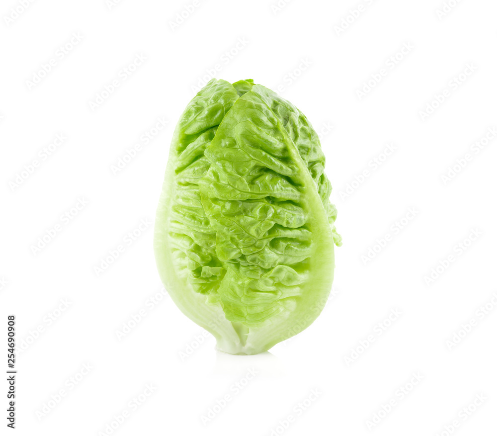 whole fresh baby cos on white background whole fresh baby cos on white background