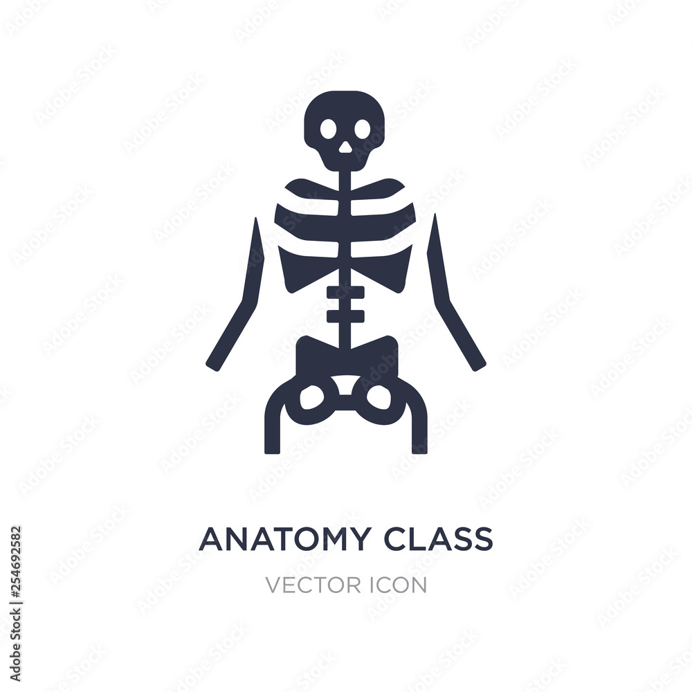 anatomy class skeleton icon on white background. Simple element ...