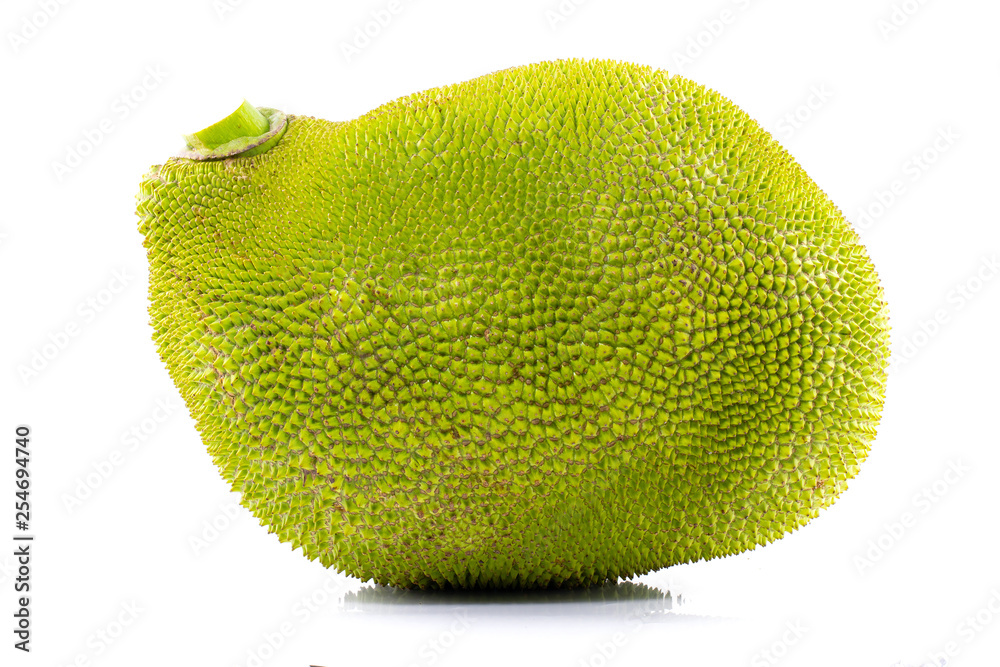 Jack fruit isolated on white background Jack fruit isolated on white background