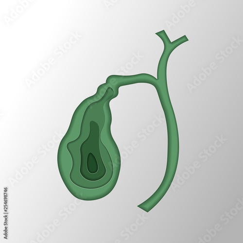 Illustration of Human gallbladder anatomy. Dyskinesia of the biliary tract. Paper cut style