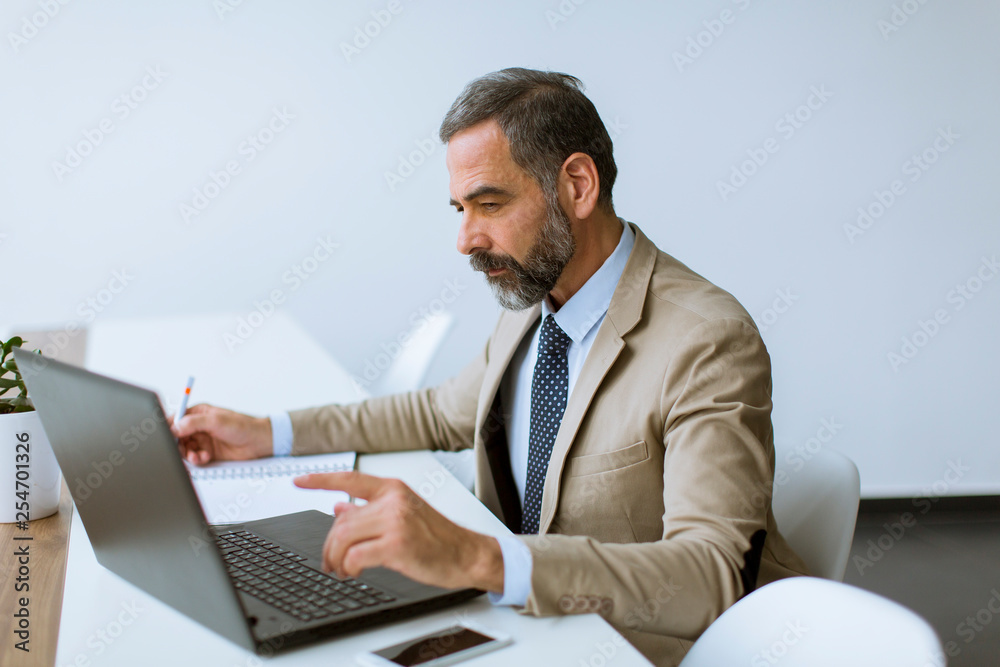 Senior businessman gray hair working on laptop in modern office Senior businessman gray hair working on laptop in modern office