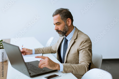 Senior businessman gray hair working on laptop in modern office