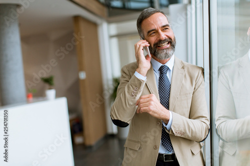 Handsome mature businessman...