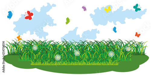 Green grass and flowers in meadow against background of clouds and butterflies. Vector drawing.