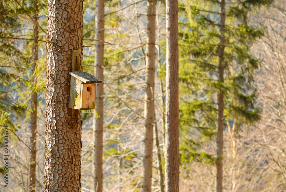 Wooden booth for birds on the tree. Wooden booth for birds on the tree.