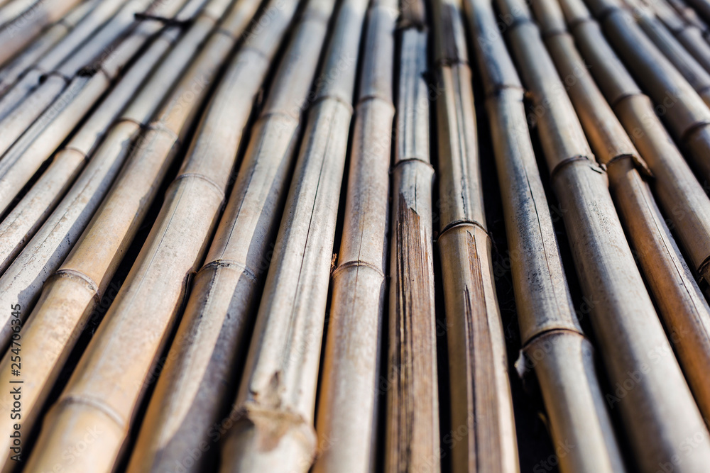 background texture of bamboo stretching into the future background texture of bamboo stretching into the future