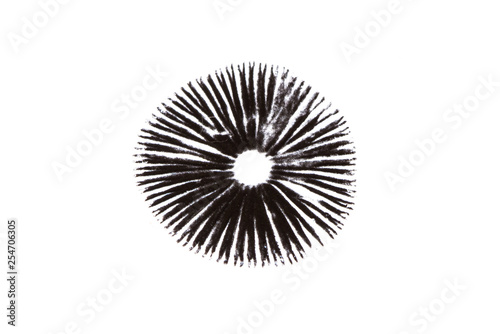 A mushroom leaves a black spore print on a white background. photo
