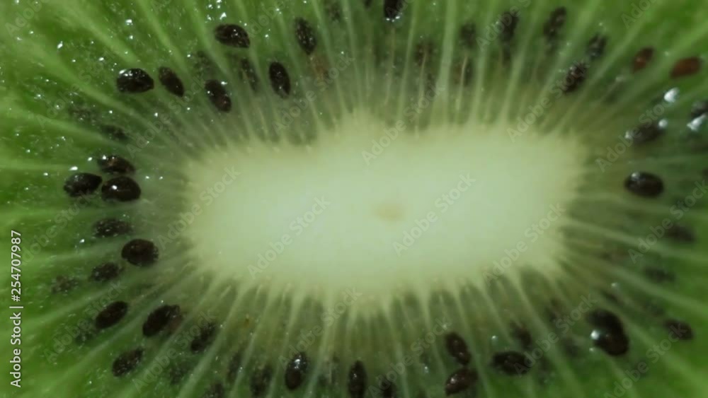 kiwi fruit close up macro focus concept kiwi fruit close up macro focus concept