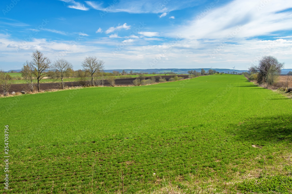 Green field in a beautiful landscape view