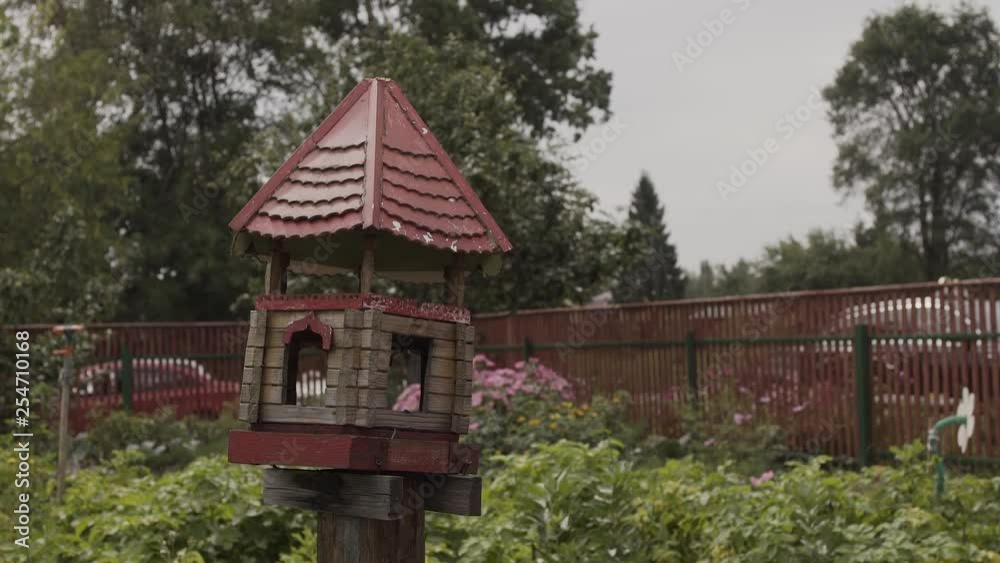 Bird feeders. tree house for the birds, cheerful apartment. Bird feeders. tree house for the birds, cheerful apartment.