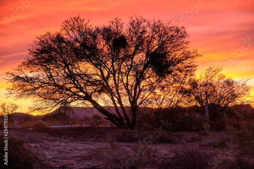 Photography Sunset sky of orange and yellow in the vast  Karoo of South Africa