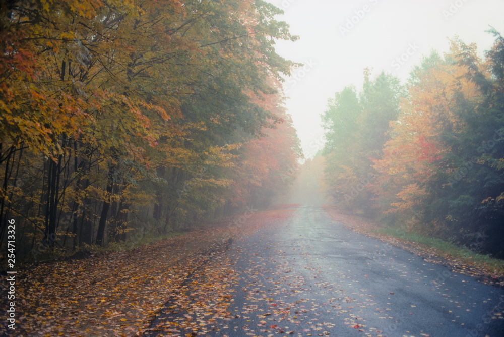 Obraz premium Mist and fog enshrouds forest and road in autumn, Adirondack Park, New York