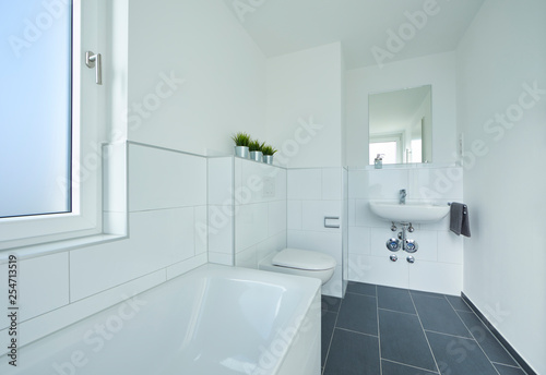 Wallpaper Mural Badezimmer in Neubauwohnung Torontodigital.ca