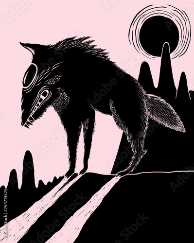 silhouette of a coyote photo
