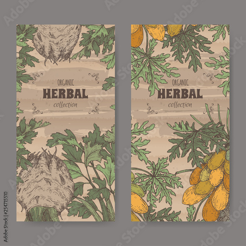 Two labels with apium graveolens aka celery and carica papaya aka papaya tree color sketch. Green apothecary series.