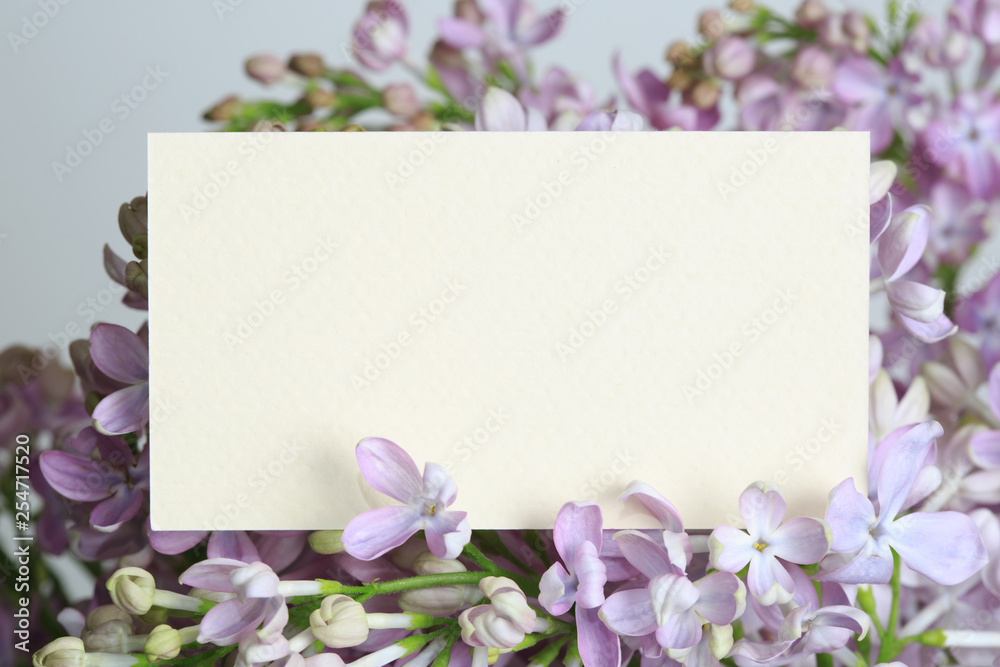 Blank card on a delicate bouquet of lilac on a gray background, macro.