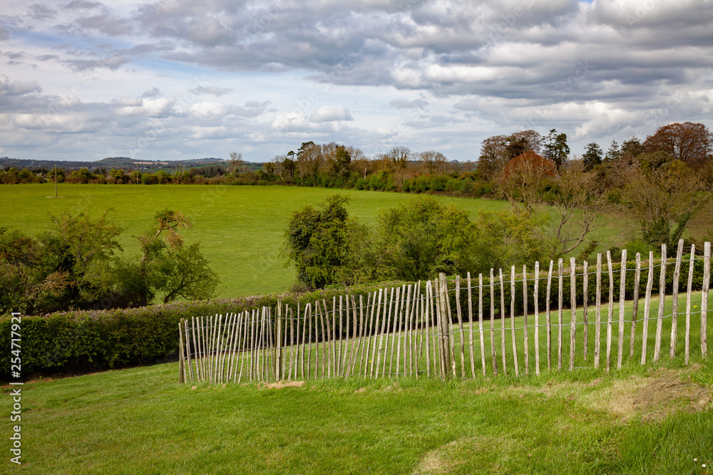 green grass meadow fence in Ireland