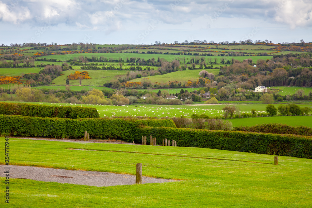 Ireland green meadow scenery