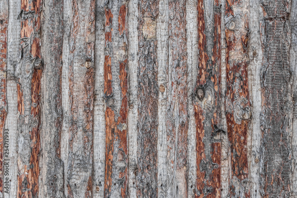 A beautiful horizontal texture of old brown and gray wooden boards fence from pine with knots and resin and bark in the photo A beautiful horizontal texture of old brown and gray wooden boards fence from pine with knots and resin and bark in the photo