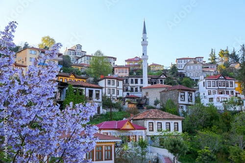 Fényképezés old trabzon houses turkey ( life style)