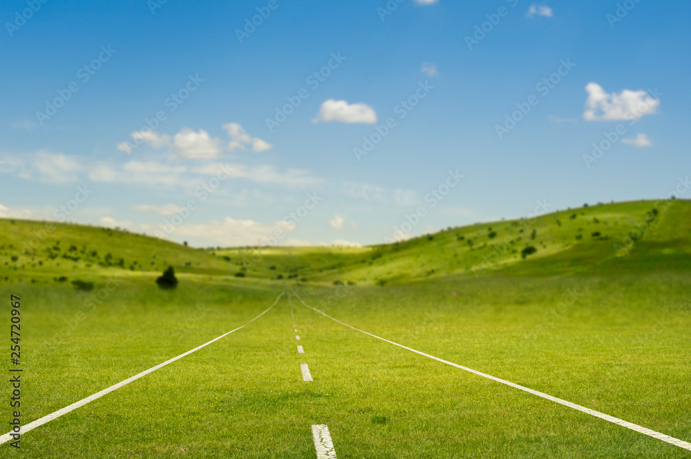 green road through the sunny countryside