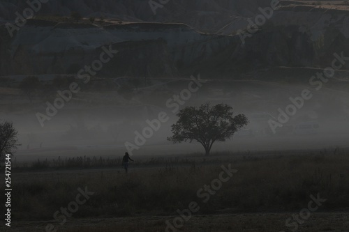 Lone Tree silhouette in foggy morning, black and white conceptual image  © murat