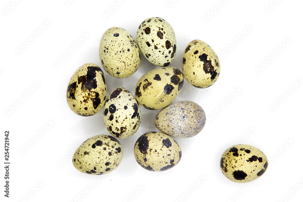 Several quail eggs isolated on white, with shadows Several quail eggs isolated on white, with shadows