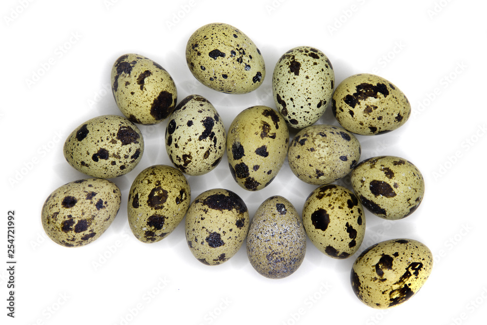 Several quail eggs isolated on white, with shadows