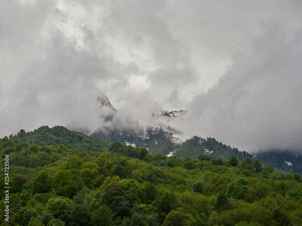 High mountains with snowy peaks in thick fog and green forest in front of them