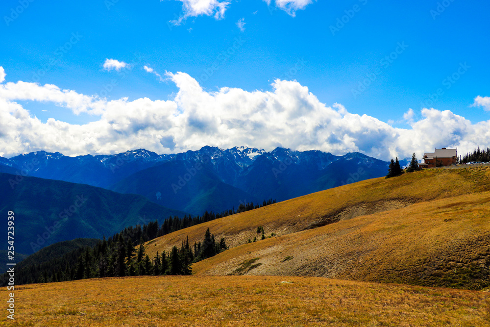 Mountain view in the Olympic Mountain Range, Olympic National Park, Washington, USA.