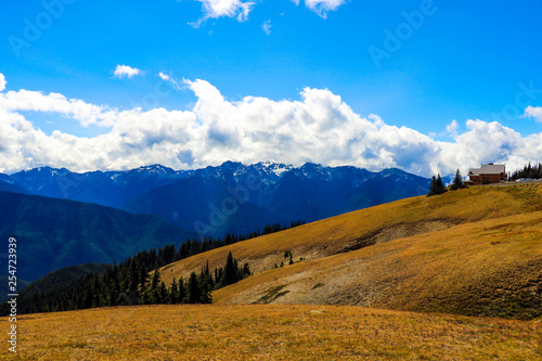 Mountain view in the Olympic Mountain Range, Olympic National Park, Washington, USA. © Dzmitry