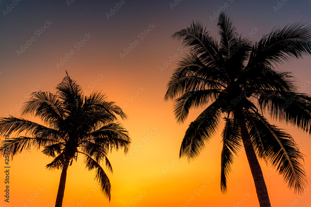 Silhouette palm tree at the sea during sunrise