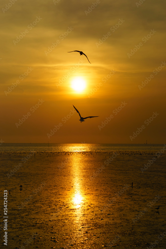 Silhouette two bird Seagulls over the sea during sunset with golden light for background