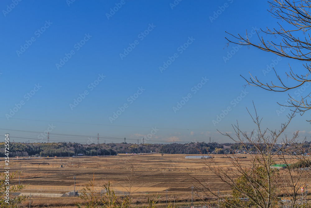 冬の佐倉城跡から見た風景