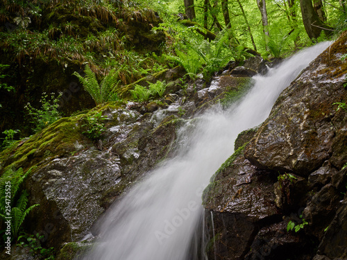 Powerful creek with a waterfall in the spring forest. Mountains in the spring.