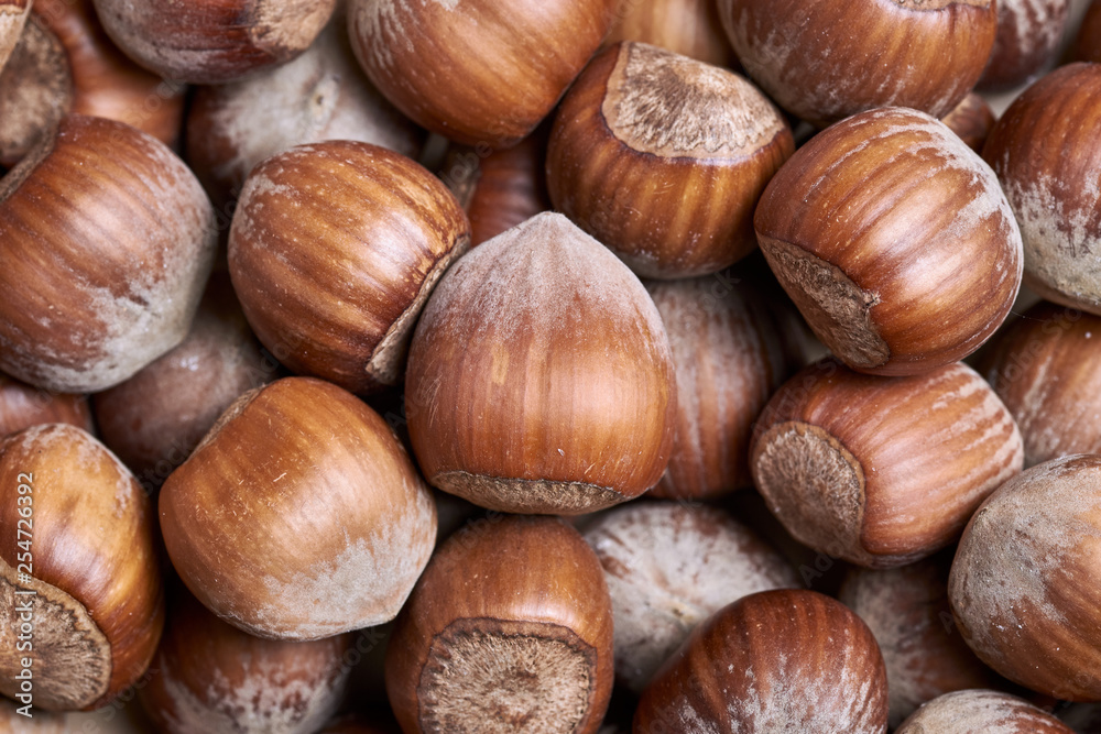 Heap of brown hazelnuts close-up from above. Food flat lay and macro Heap of brown hazelnuts close-up from above. Food flat lay and macro