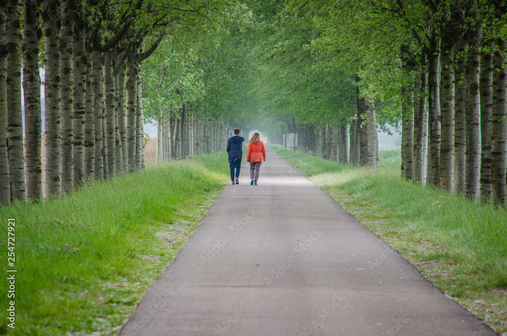 couple walking in a park couple walking in a park
