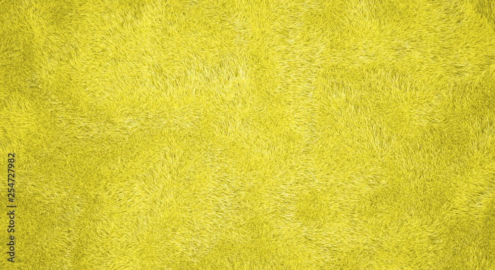 beautiful cozy carpet isolated on white background. 3d render beautiful cozy carpet isolated on white background. 3d render
