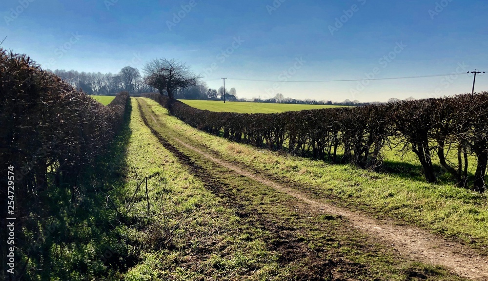 Obraz premium pathway