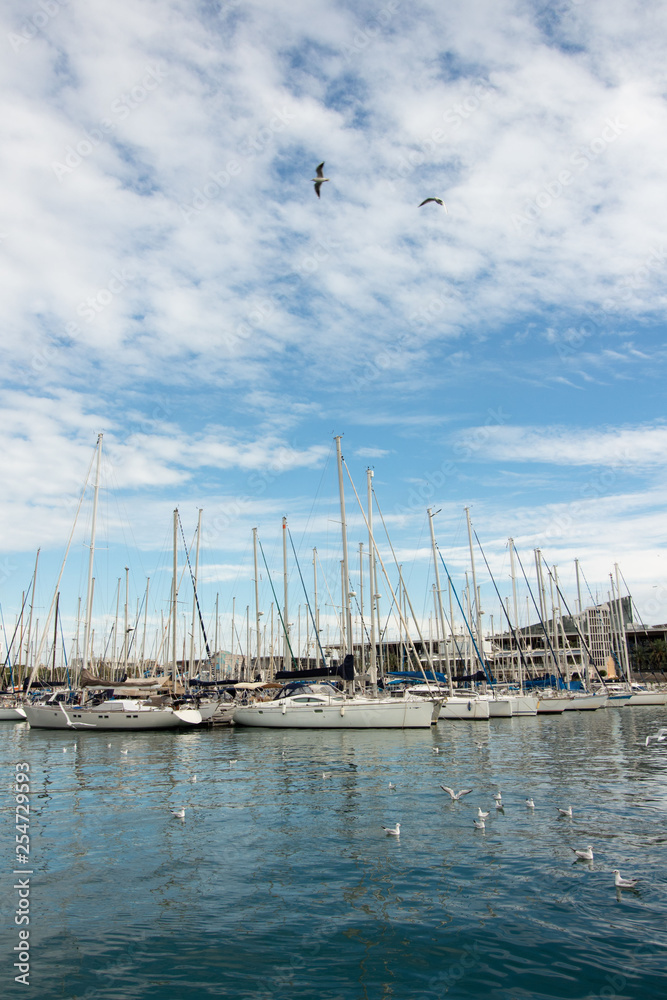Yachts at the berth of Barcelona