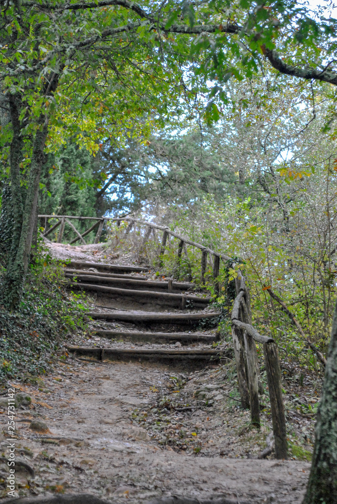 old wood steps in the countryside in Italy