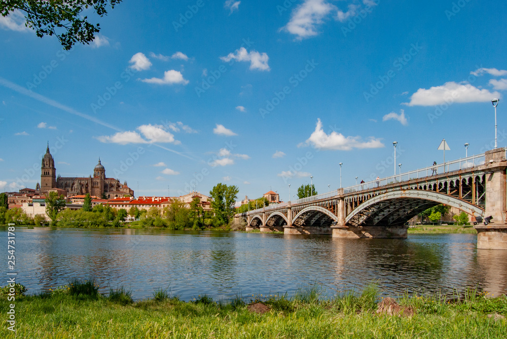 historic city of Salamanca with Rio Tormes