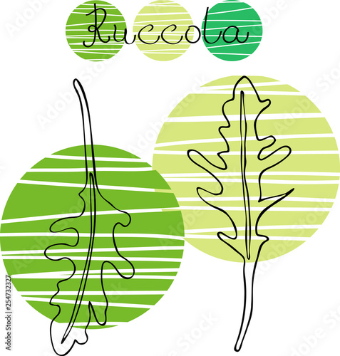 Set of hand drawn drawing of ruccola.Black  linear art of arugula. Poster with healthy vegetarian food. Art can be used for cafe restaurant menu design.