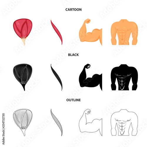 Isolated object of fiber and muscular logo. Set of fiber and body  stock vector illustration.