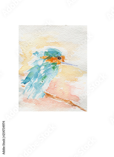 Watercolor bird. Watercolor bird painted by hand paints.