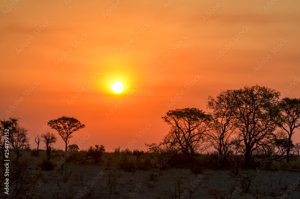 A stunning sunset at Mala Mala Reserve near Johannesburg South Africa